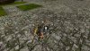 IMG-20180922-WA0000.jpg